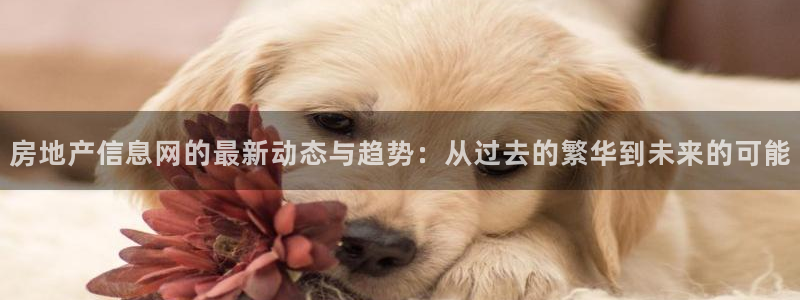 新宝5测速下载：房地产信息网的最新动态与趋势：从过去的繁华到