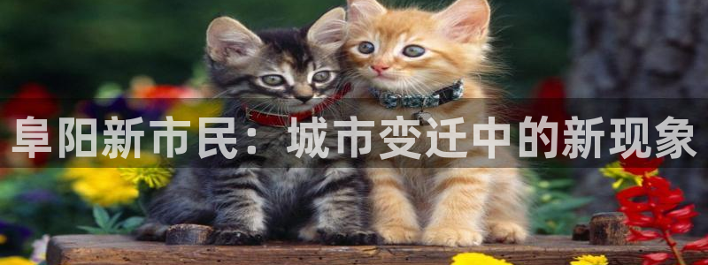 新宝5链接：阜阳新市民：城市变迁中的新现象