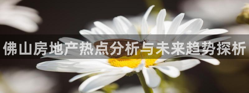 新宝5后：佛山房地产热点分析与未来趋势探析