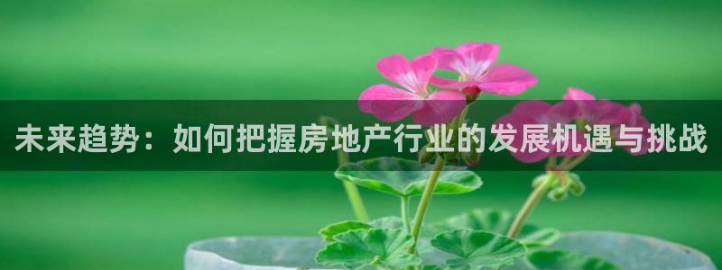 新宝5娱乐注册：未来趋势：如何把握房地产行业的发展机遇与挑战