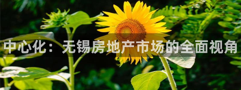 新宝5-测速：中心化：无锡房地产市场的全面视角