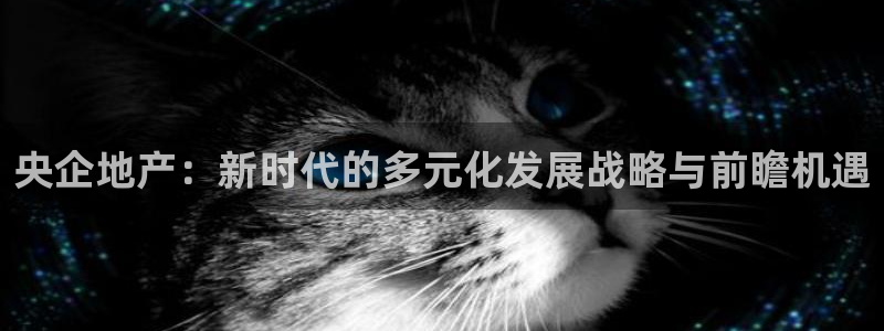 新宝5下载测试：央企地产：新时代的多元化发展战略与前瞻机遇