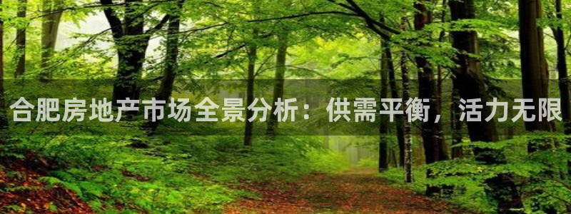 新宝5王问74OOO5：合肥房地产市场全景分析：供需平衡，活