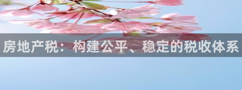 新宝5测：房地产税：构建公平、稳定的税收体系