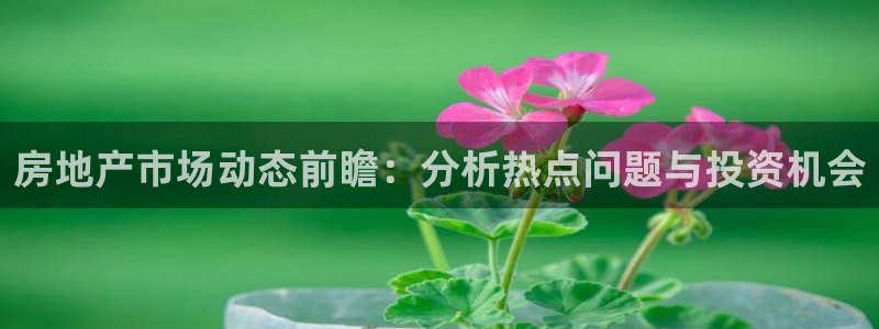 新宝5主管：房地产市场动态前瞻：分析热点问题与投资机会