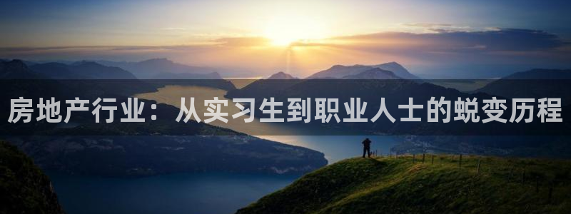 新宝5代理：房地产行业：从实习生到职业人士的蜕变历程