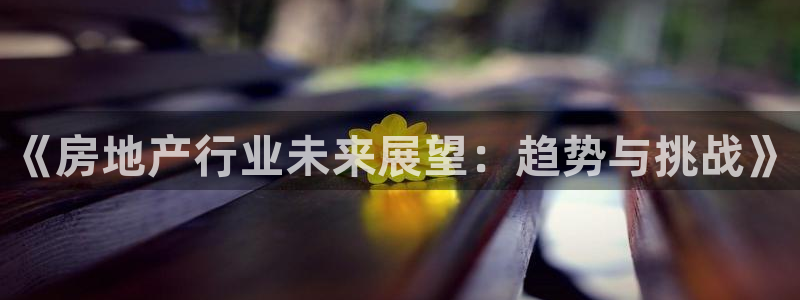 新宝股东瞧听2 5 5：《房地产行业未来展望：趋势与挑战》