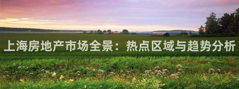 新宝5手机登陆：上海房地产市场全景：热点区域与趋势分析