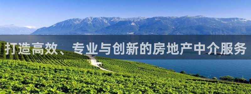 新宝5官方登录入口：打造高效、专业与创新的房地产中介服务