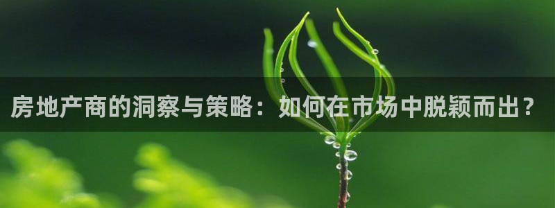 新宝5客户端登录：房地产商的洞察与策略：如何在市场中脱颖而出