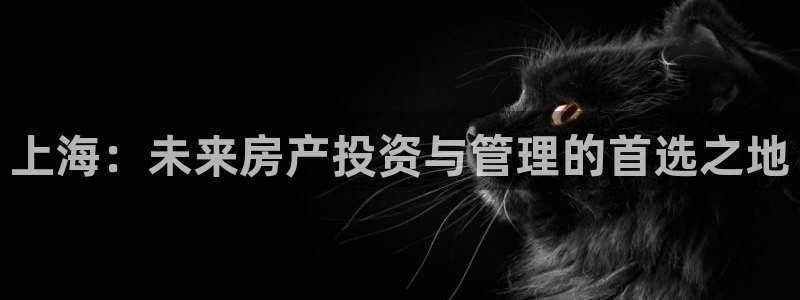 新宝5公司：上海：未来房产投资与管理的首选之地