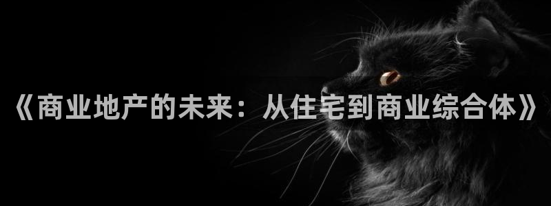 新宝5官方登录入口：《商业地产的未来：从住宅到商业综合体》