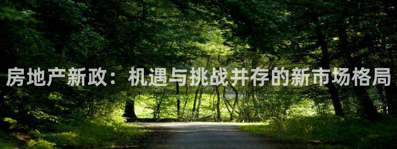 新宝5卫74OOO5：房地产新政：机遇与挑战并存的新市场格局