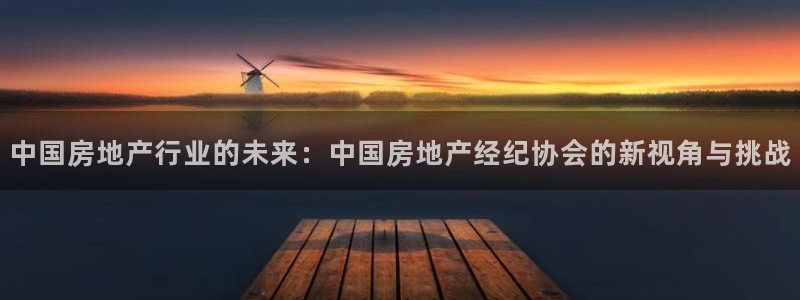新宝5app：中国房地产行业的未来：中国房地产经纪协会的新视