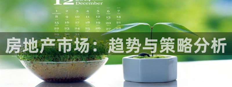 新宝5公司：房地产市场：趋势与策略分析