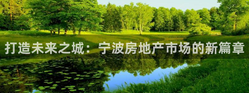 新宝股东张听2 5 5：打造未来之城：宁波房地产市场的新篇章