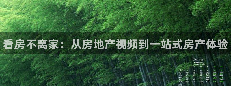 新宝5下载 迅雷下载：看房不离家：从房地产视频到一站式房产体