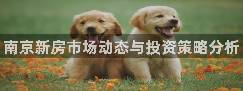 新宝5秒开：南京新房市场动态与投资策略分析
