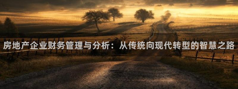 新宝5线路登录：房地产企业财务管理与分析：从传统向现代转型的