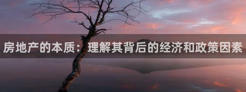 新宝h2O5O5O：房地产的本质：理解其背后的经济和政策因素
