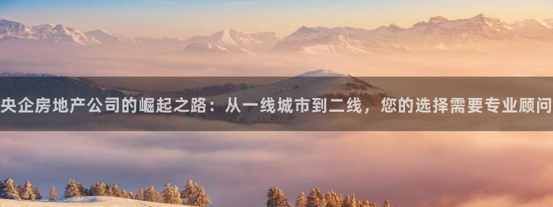 菲律宾新宝5老板：央企房地产公司的崛起之路：从一线城市到二线