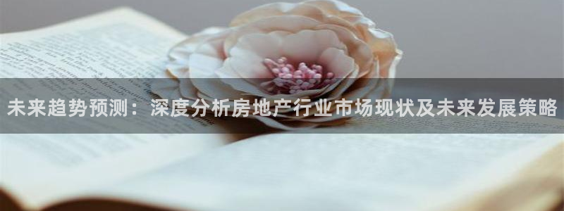 有人知道新宝5么：未来趋势预测：深度分析房地产行业市场现状及