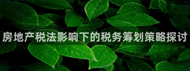 新宝5新宝6顺达：房地产税法影响下的税务筹划策略探讨