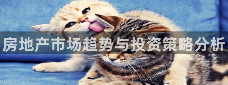 新宝5登录不了：房地产市场趋势与投资策略分析