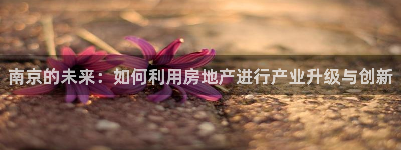 新宝5彩票娱乐平台：南京的未来：如何利用房地产进行产业升级与