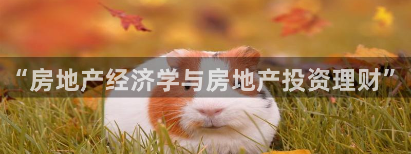 新宝5网：“房地产经济学与房地产投资理财”