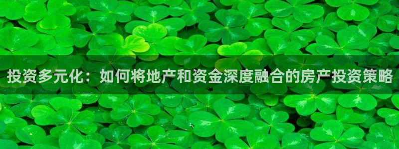 新宝5浗维33 300：投资多元化：如何将地产和资金深度融合