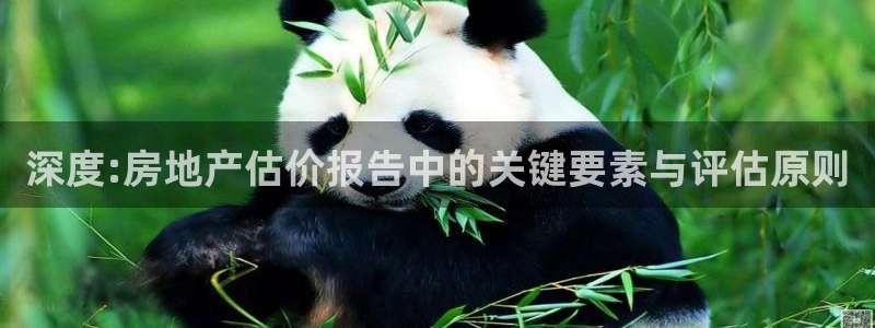 新宝5侹刔：深度:房地产估价报告中的关键要素与评估原则