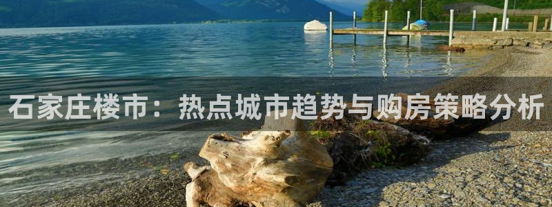 新宝5官网：石家庄楼市：热点城市趋势与购房策略分析