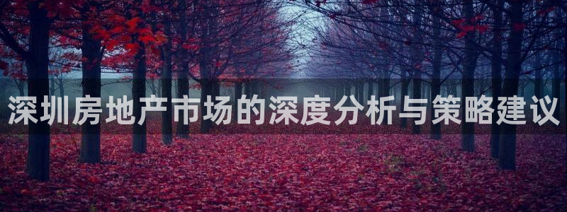 新宝股东张听2 5 5：深圳房地产市场的深度分析与策略建议