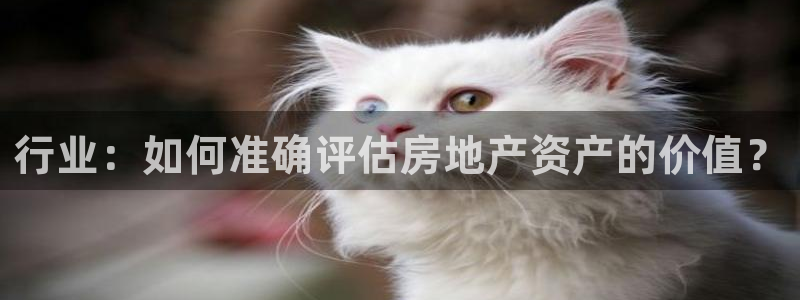 新宝5怎么下载到桌面：行业：如何准确评估房地产资产的价值？