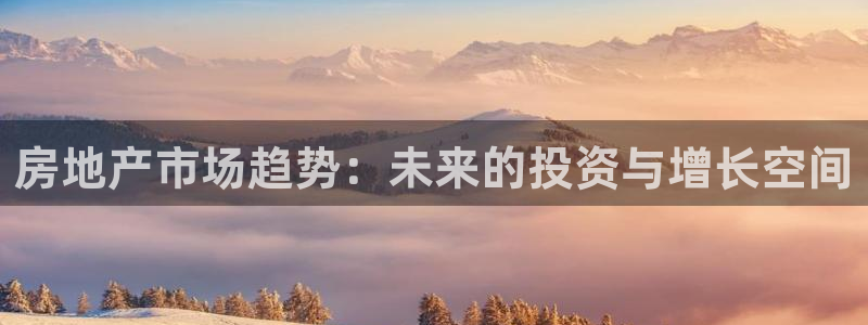 新宝5策略：房地产市场趋势：未来的投资与增长空间