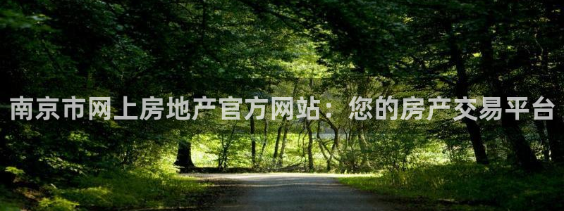 新宝5平台登录下载软件：南京市网上房地产官方网站：您的房产交