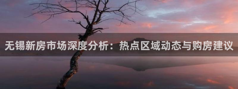 新宝5客户端登录：无锡新房市场深度分析：热点区域动态与购房建