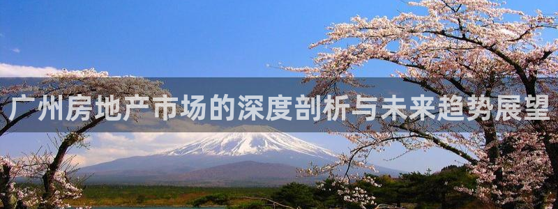 新宝5开户：广州房地产市场的深度剖析与未来趋势展望