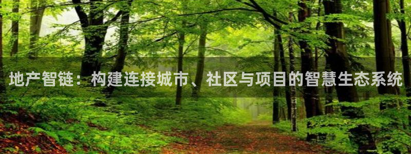 新宝5彩票平台登陆：地产智链：构建连接城市、社区与项目的智慧