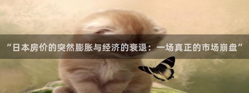 新宝_5：“日本房价的突然膨胀与经济的衰退：一场真正的市场崩