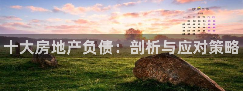 新宝5谠631257：十大房地产负债：剖析与应对策略