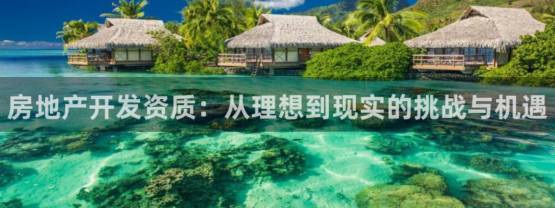 新宝5测：房地产开发资质：从理想到现实的挑战与机遇