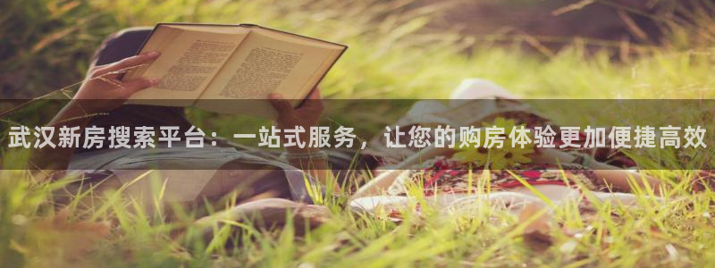 新宝5-测速：武汉新房搜索平台：一站式服务，让您的购房体验更