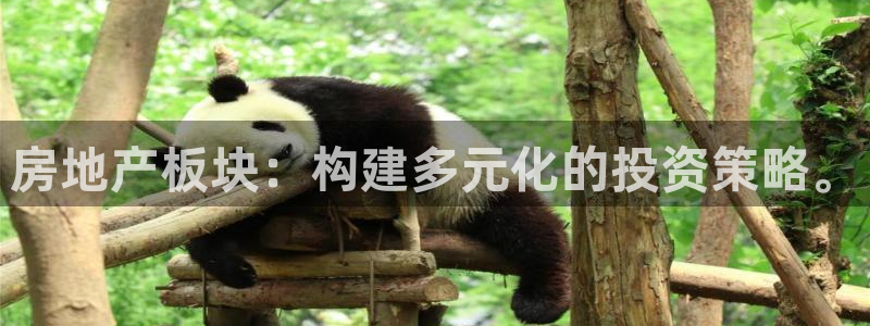 新宝5娱乐平台：房地产板块：构建多元化的投资策略。