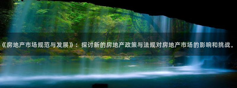 新宝5褚74OOO5：《房地产市场规范与发展》：探讨新的房地