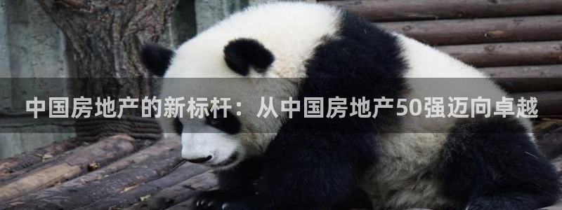 新宝5如何注册登录：中国房地产的新标杆：从中国房地产50强迈