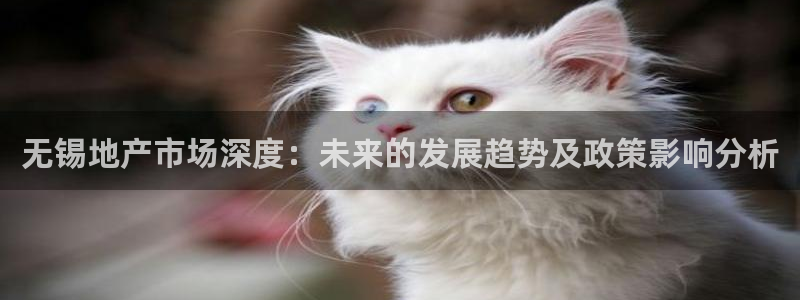 新宝5入口：无锡地产市场深度：未来的发展趋势及政策影响分析