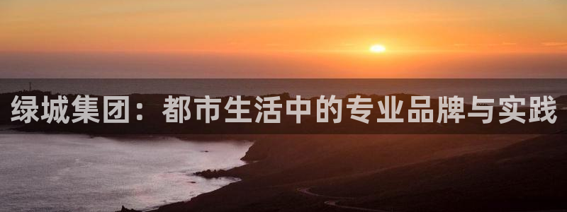 新宝注5册：绿城集团：都市生活中的专业品牌与实践