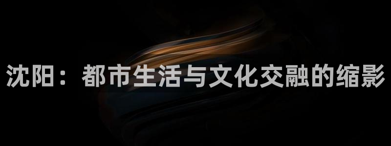 新宝娱乐5入口：沈阳：都市生活与文化交融的缩影